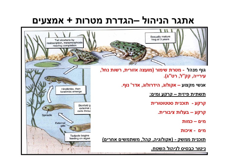 קובץ:AlonRotschild.pdf