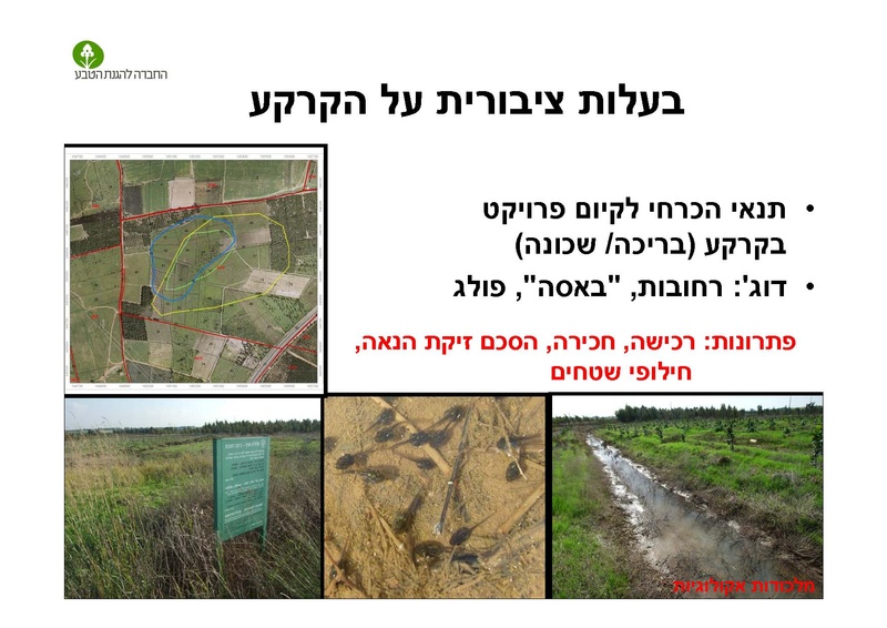 קובץ:AlonRotschild.pdf