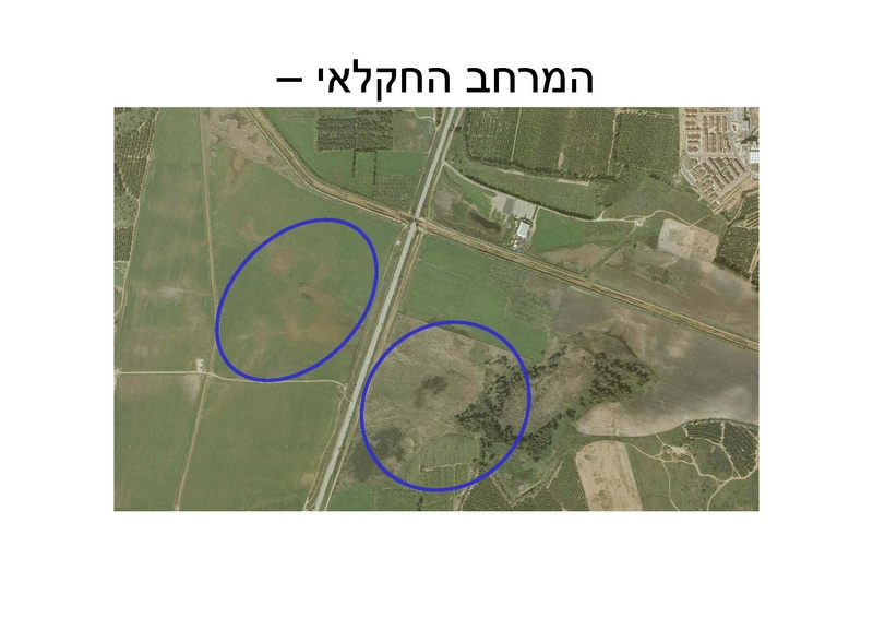 קובץ:AlonRotschild.pdf