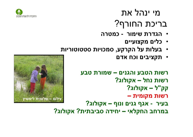 קובץ:AlonRotschild.pdf