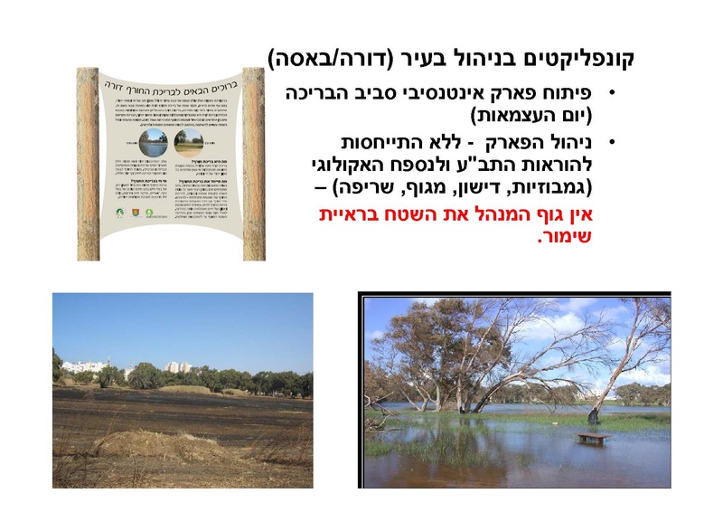 קובץ:AlonRotschild.pdf