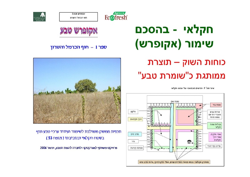 קובץ:AlonRotschild.pdf