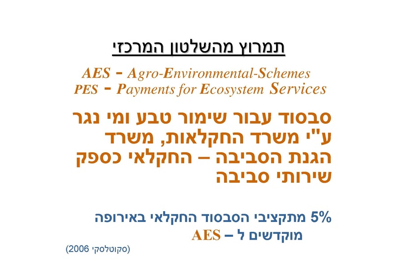 קובץ:AlonRotschild.pdf