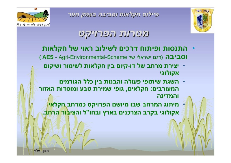 קובץ:AlonRotschild.pdf