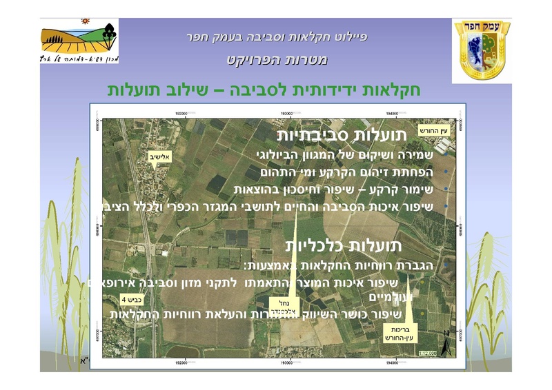 קובץ:AlonRotschild.pdf