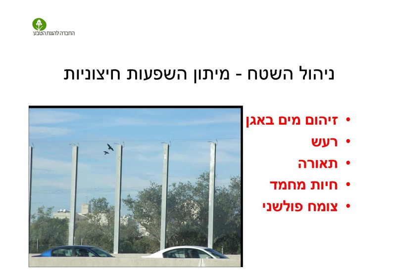 קובץ:AlonRotschild.pdf