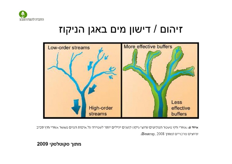 קובץ:AlonRotschild.pdf