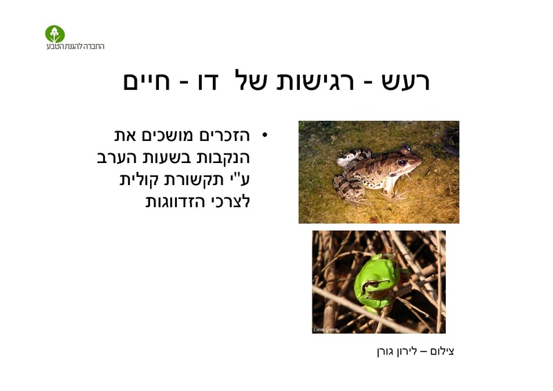 קובץ:AlonRotschild.pdf