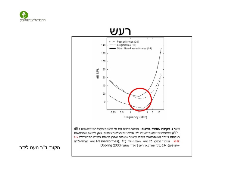 קובץ:AlonRotschild.pdf