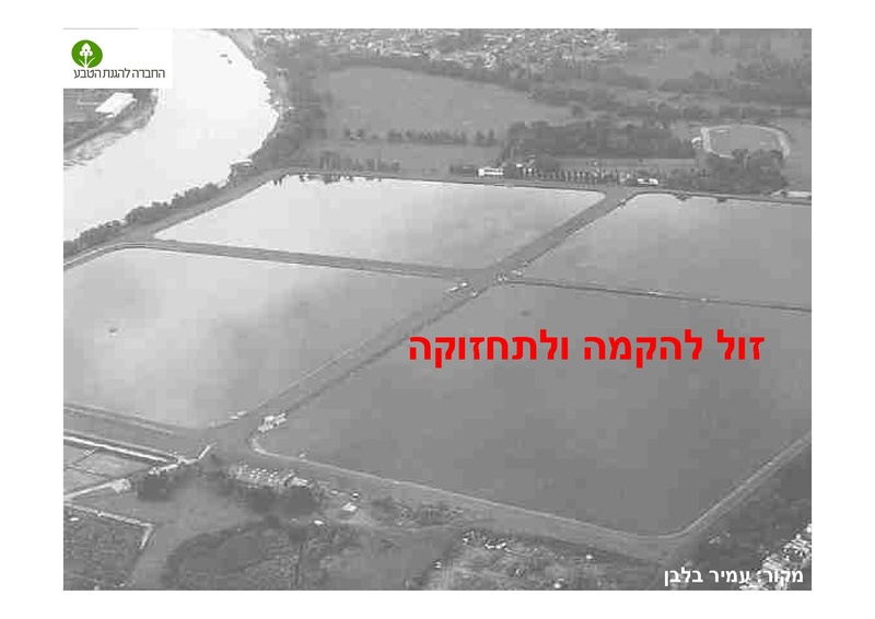 קובץ:AlonRotschild.pdf