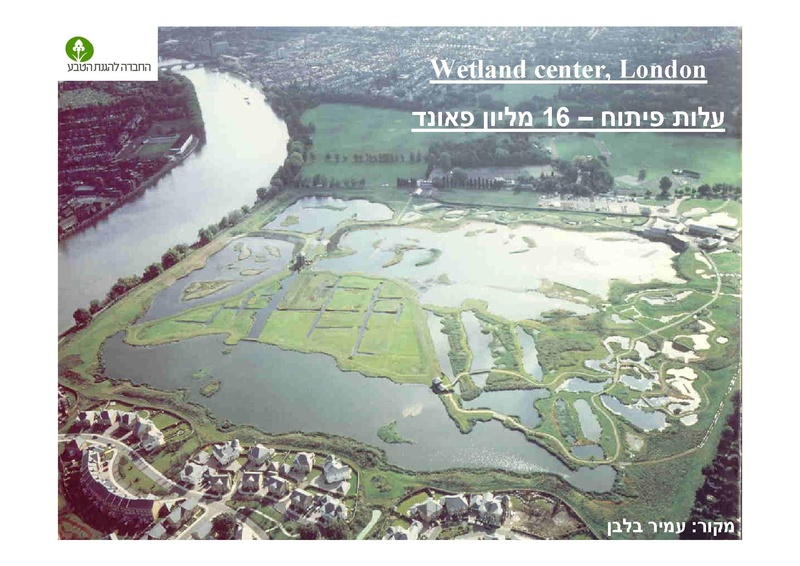 קובץ:AlonRotschild.pdf