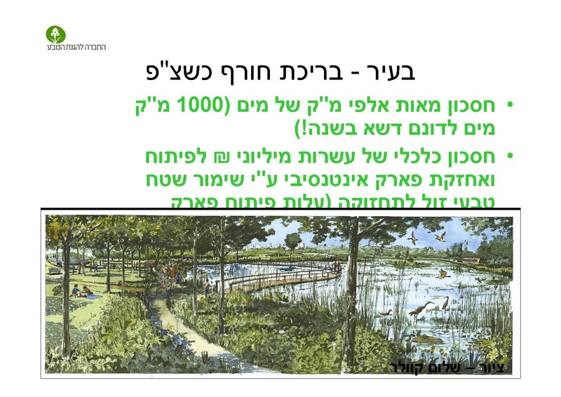 קובץ:AlonRotschild.pdf