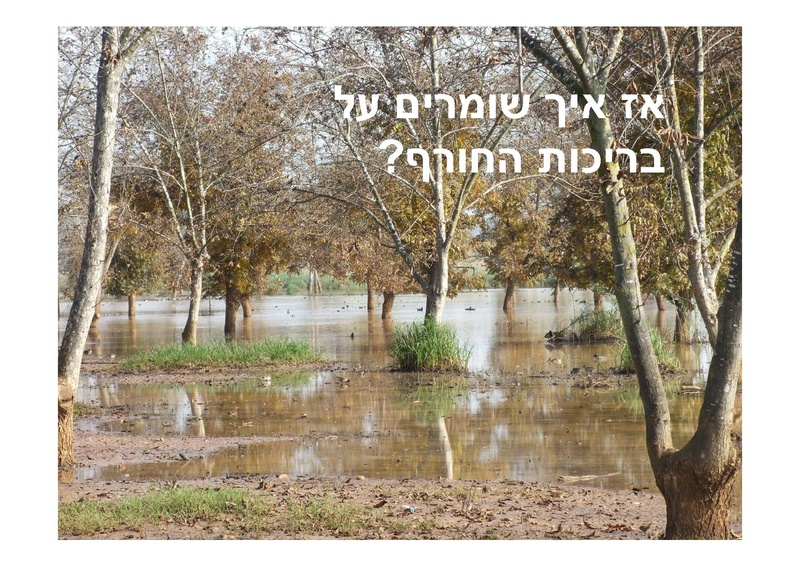 קובץ:AlonRotschild.pdf