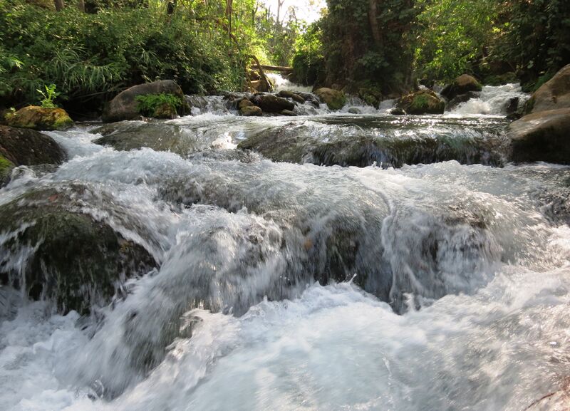 קובץ:Banias dov.JPG