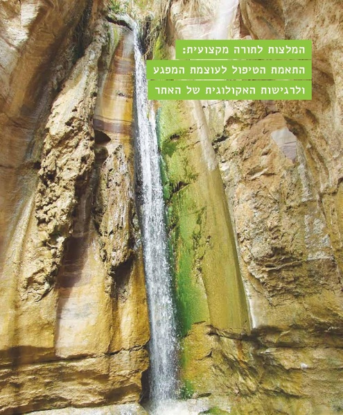 קובץ:Mimshak yatushim.pdf