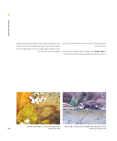 קובץ:Mimshak yatushim.pdf