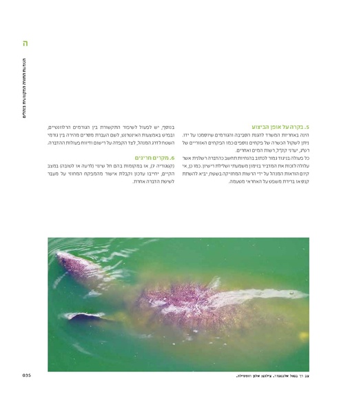 קובץ:Mimshak yatushim.pdf