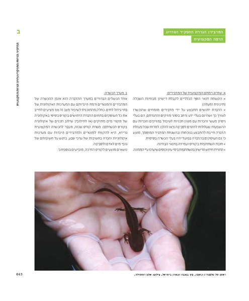 קובץ:Mimshak yatushim.pdf