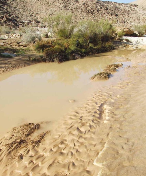 קובץ:Mimshak yatushim.pdf