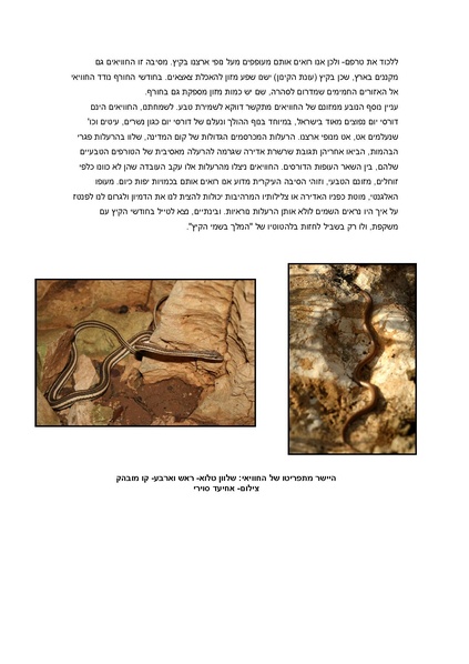קובץ:2(2).pdf