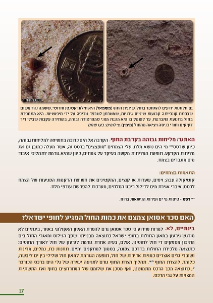 קובץ:HolotBookletDistribution.pdf