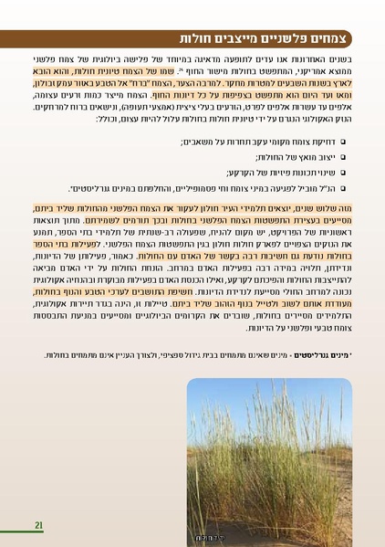 קובץ:HolotBookletDistribution.pdf