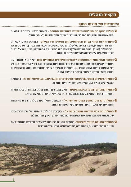 קובץ:HolotBookletDistribution.pdf