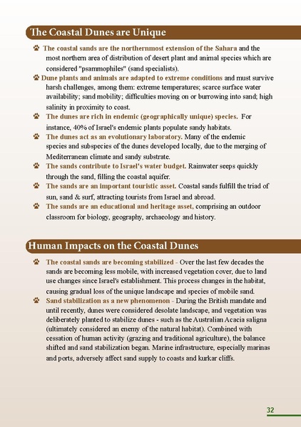 קובץ:HolotBookletDistribution.pdf