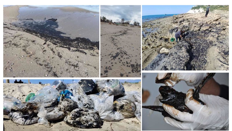 קובץ:Mazeget(1).pdf