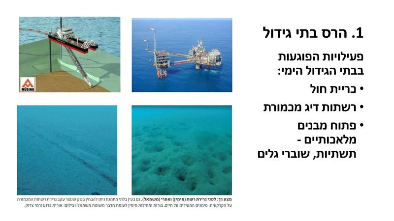 קובץ:Mazeget(1).pdf