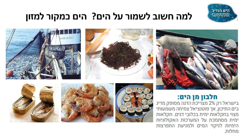 קובץ:Mazeget(1).pdf