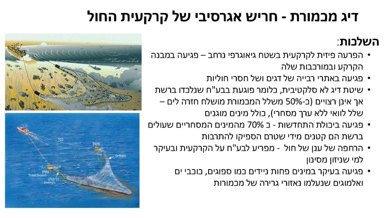 קובץ:Mazeget(1).pdf