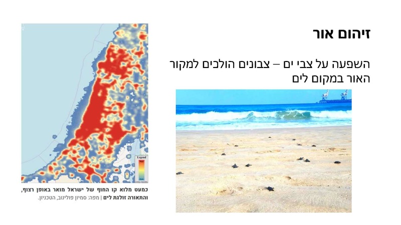 קובץ:Mazeget(1).pdf