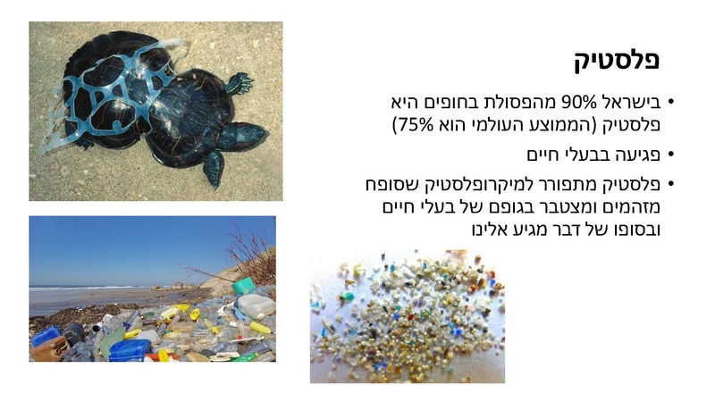 קובץ:Mazeget(1).pdf