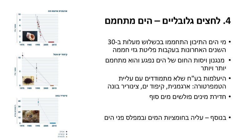קובץ:Mazeget(1).pdf