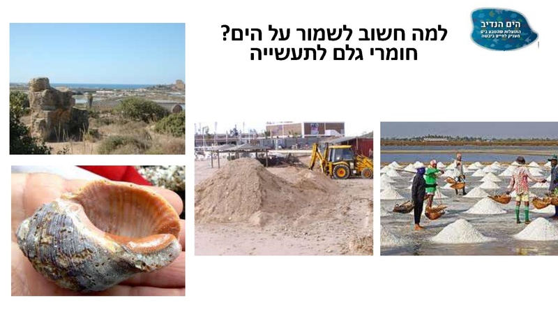 קובץ:Mazeget(1).pdf