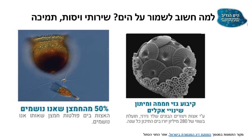 קובץ:Mazeget(1).pdf