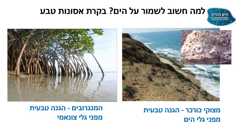 קובץ:Mazeget(1).pdf