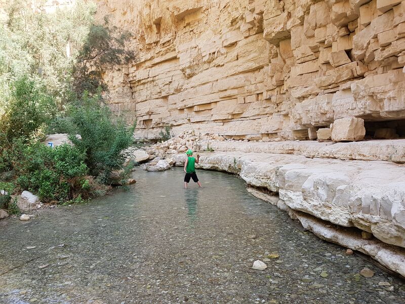 קובץ:20170812 111613(1).jpg