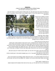 → לדף הקודם