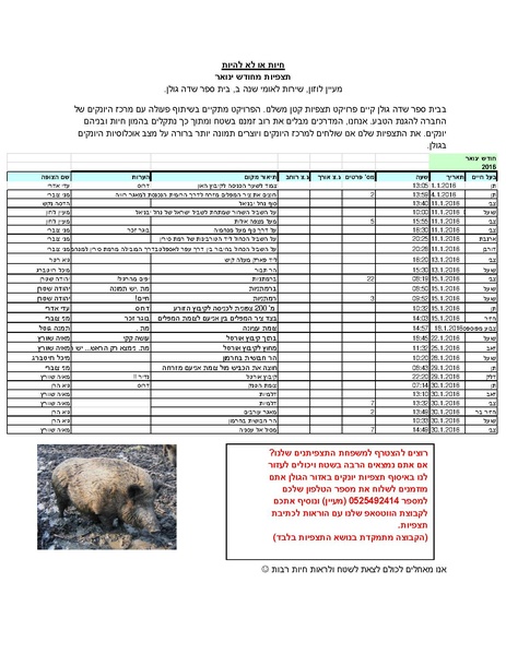 קובץ:Hayot(1).pdf
