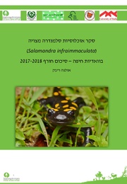 → לדף הקודם