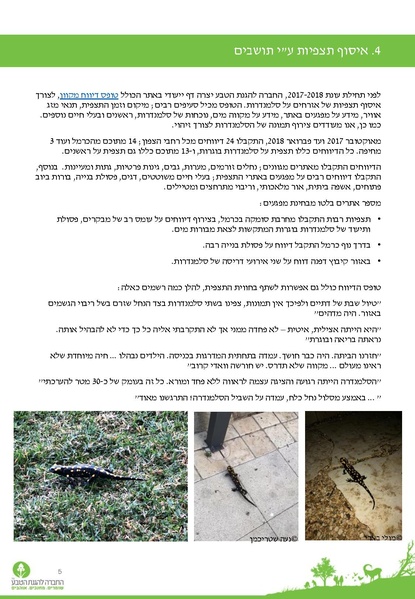 קובץ:Sal2017.pdf