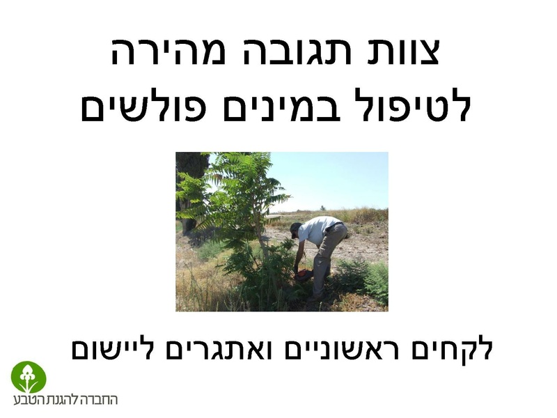 קובץ:Stop IS.pdf