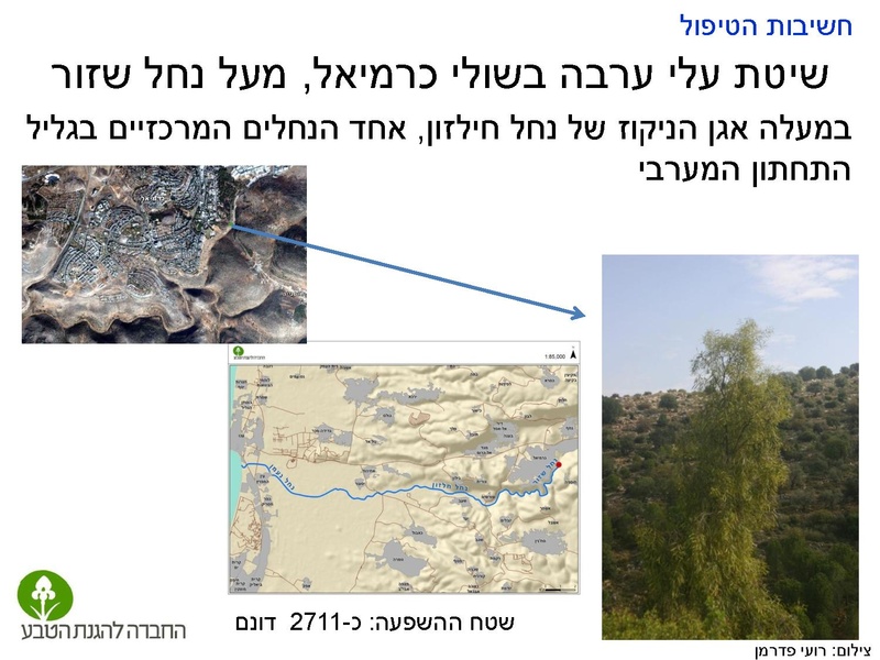 קובץ:Stop IS.pdf