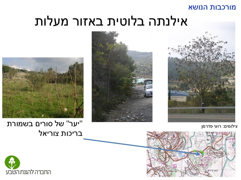 קובץ:Stop IS.pdf