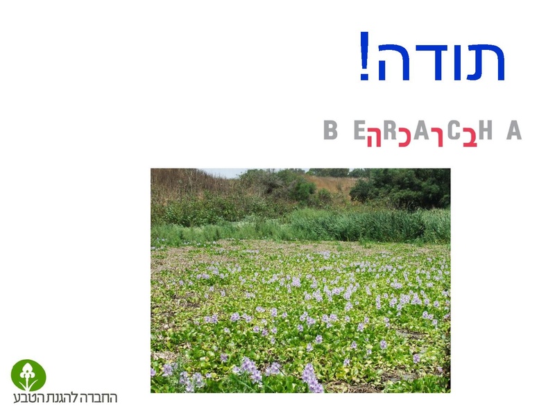 קובץ:Stop IS.pdf