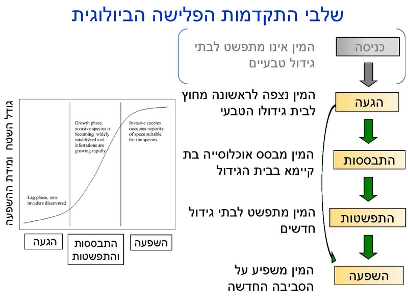 קובץ:Stop IS.pdf