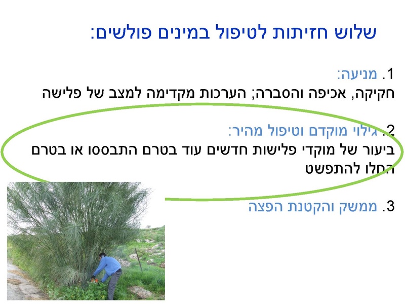 קובץ:Stop IS.pdf