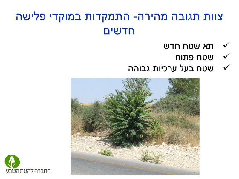 קובץ:Stop IS.pdf